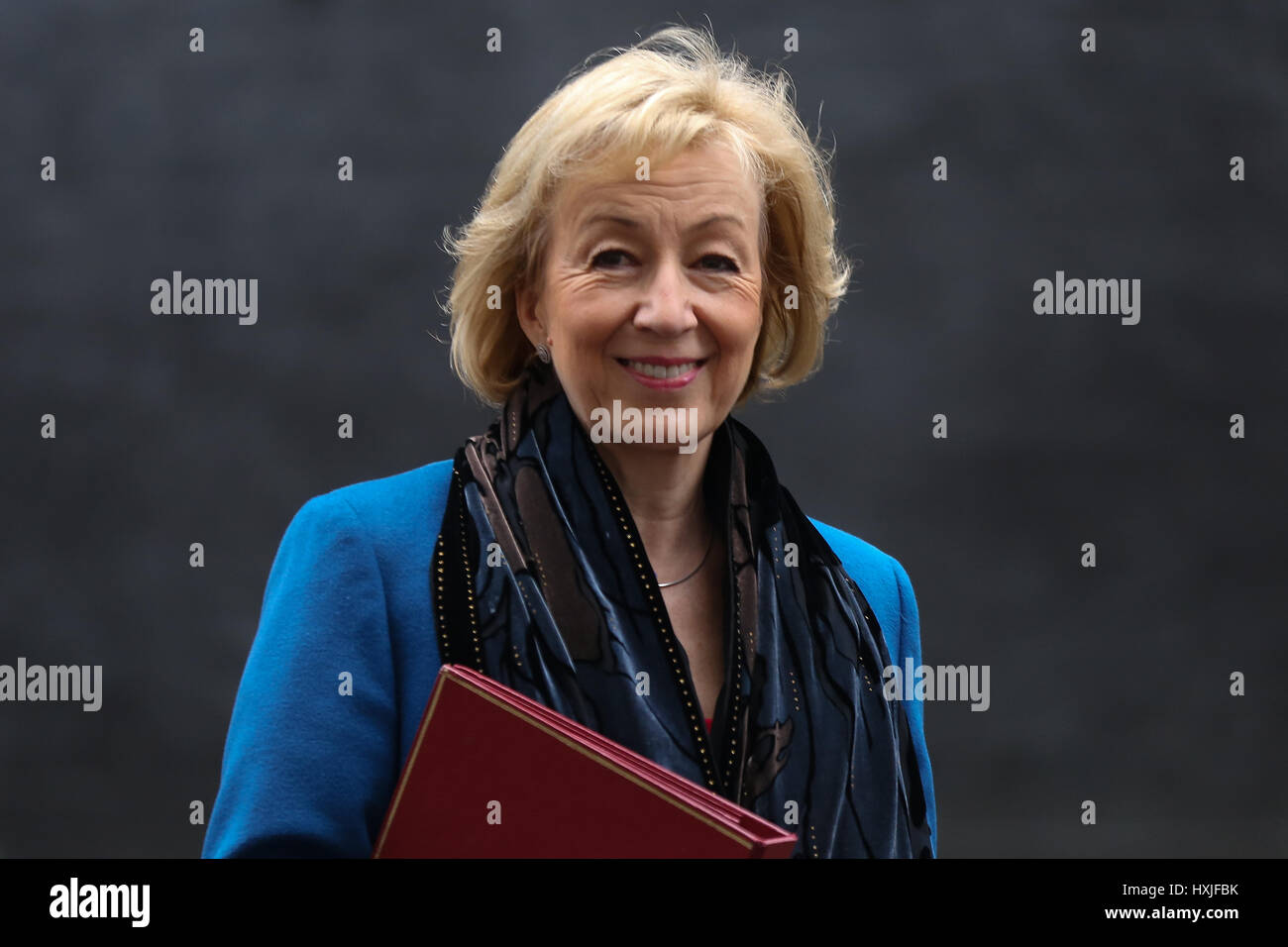 A Downing Street, Londra, Regno Unito. 29 Mar, 2017. Andrea Leadsom Segretario di Stato per l'ambiente alimentari e gli affari rurali lascia dopo il settimanale riunione del gabinetto al numero 10 di Downing street il giorno in cui il primo ministro sarà sarà ufficialmente notificare l'UE della Gran Bretagna ha intenzione di lasciare e farà una dichiarazione alla House of Commons il seguente PMQs su Brexit. Credito: Dinendra Haria/Alamy Live News Foto Stock