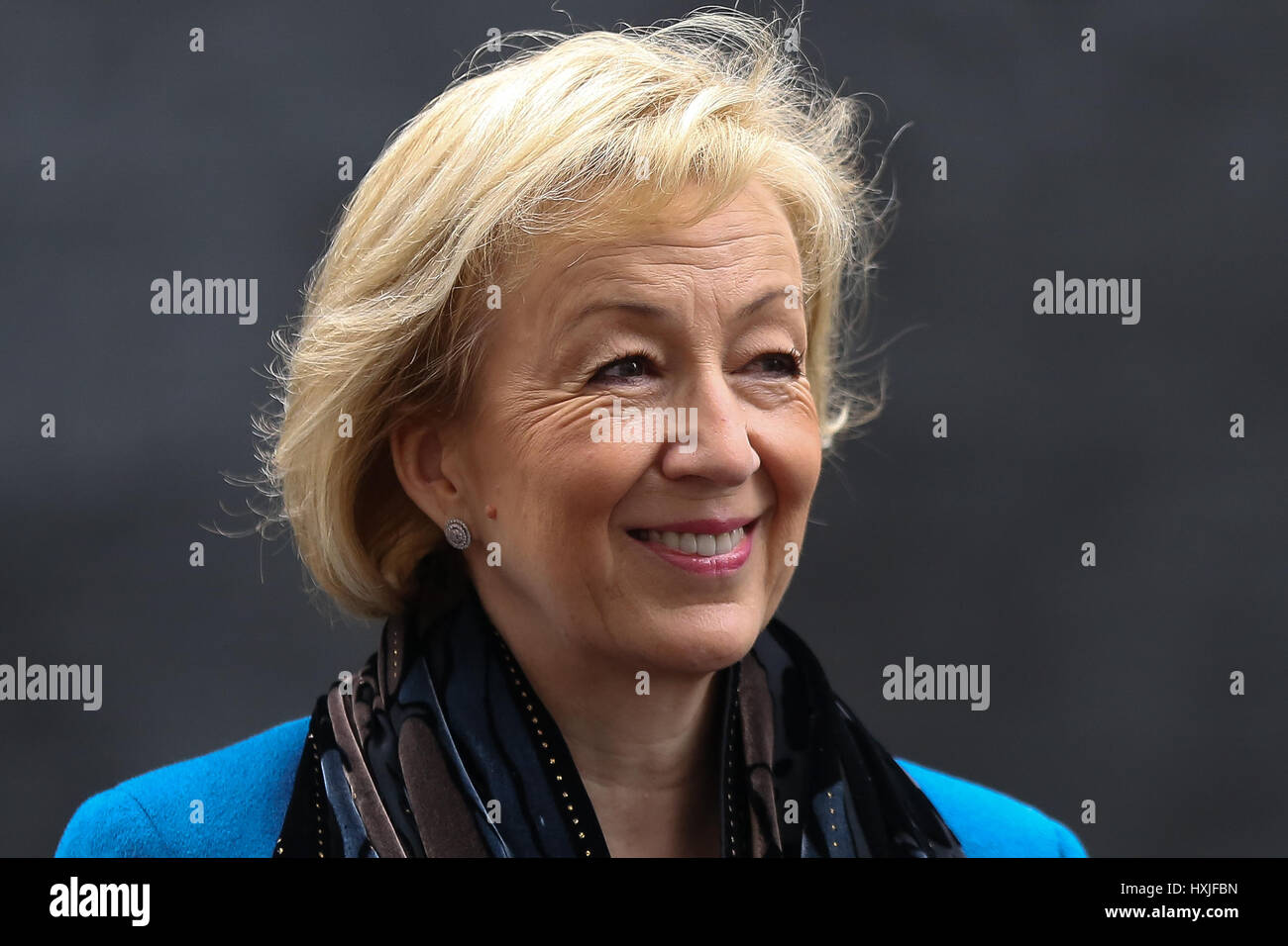 A Downing Street, Londra, Regno Unito. 29 Mar, 2017. Andrea Leadsom Segretario di Stato per l'ambiente alimentari e gli affari rurali lascia dopo il settimanale riunione del gabinetto al numero 10 di Downing street il giorno in cui il primo ministro sarà sarà ufficialmente notificare l'UE della Gran Bretagna ha intenzione di lasciare e farà una dichiarazione alla House of Commons il seguente PMQs su Brexit. Credito: Dinendra Haria/Alamy Live News Foto Stock