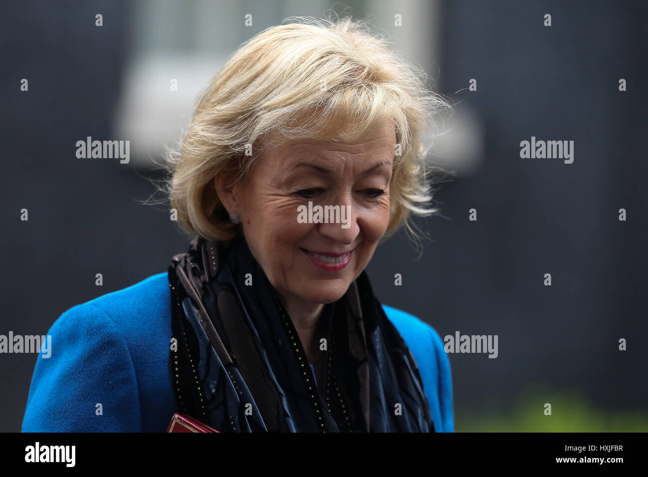 A Downing Street, Londra, Regno Unito. 29 Mar, 2017. Andrea Leadsom Segretario di Stato per l'ambiente alimentari e gli affari rurali lascia dopo il settimanale riunione del gabinetto al numero 10 di Downing street il giorno in cui il primo ministro sarà sarà ufficialmente notificare l'UE della Gran Bretagna ha intenzione di lasciare e farà una dichiarazione alla House of Commons il seguente PMQs su Brexit. Credito: Dinendra Haria/Alamy Live News Foto Stock