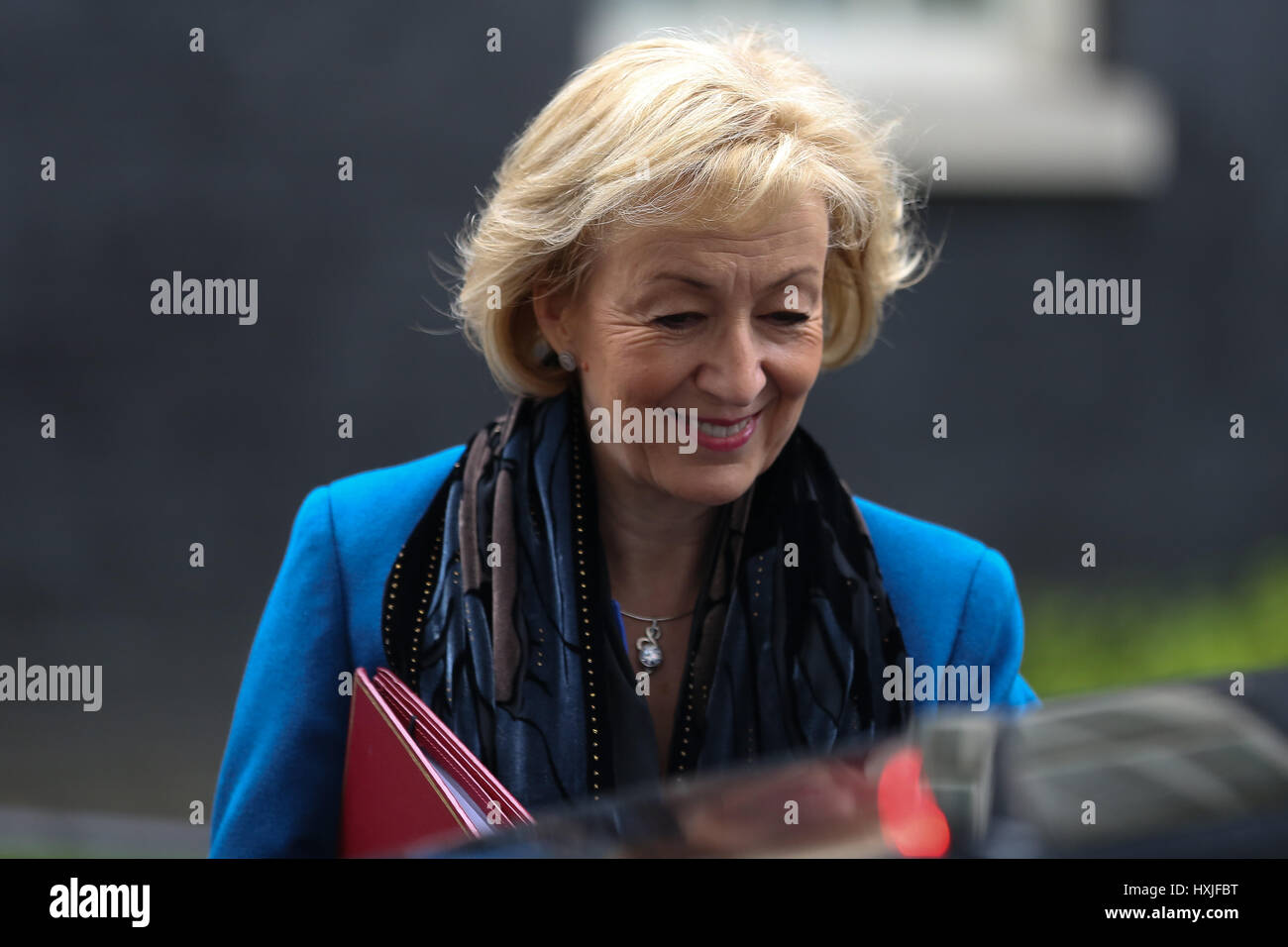 A Downing Street, Londra, Regno Unito. 29 Mar, 2017. Andrea Leadsom Segretario di Stato per l'ambiente alimentari e gli affari rurali lascia dopo il settimanale riunione del gabinetto al numero 10 di Downing street il giorno in cui il primo ministro sarà sarà ufficialmente notificare l'UE della Gran Bretagna ha intenzione di lasciare e farà una dichiarazione alla House of Commons il seguente PMQs su Brexit. Credito: Dinendra Haria/Alamy Live News Foto Stock