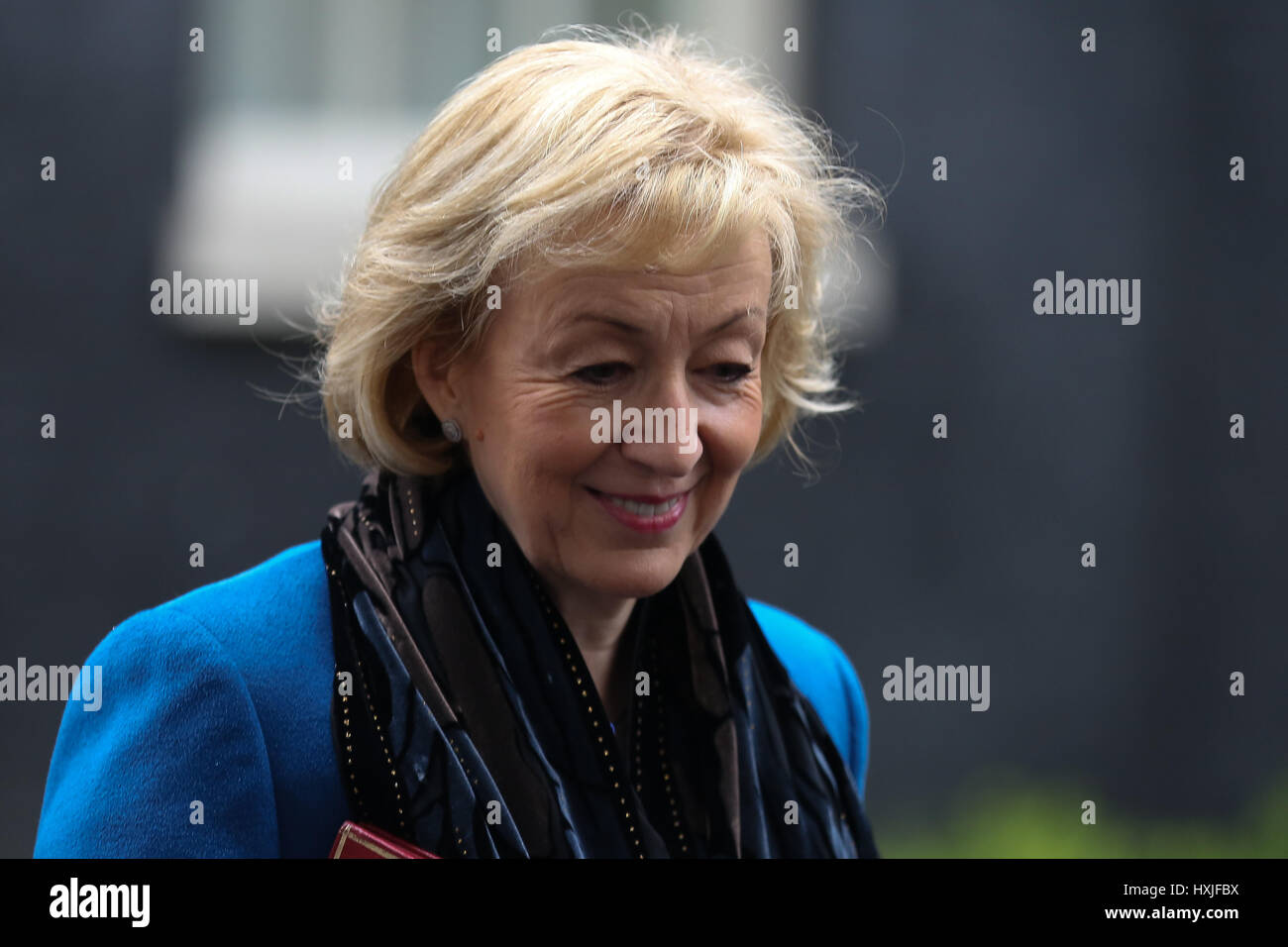 A Downing Street, Londra, Regno Unito. 29 Mar, 2017. Andrea Leadsom Segretario di Stato per l'ambiente alimentari e gli affari rurali lascia dopo il settimanale riunione del gabinetto al numero 10 di Downing street il giorno in cui il primo ministro sarà sarà ufficialmente notificare l'UE della Gran Bretagna ha intenzione di lasciare e farà una dichiarazione alla House of Commons il seguente PMQs su Brexit. Credito: Dinendra Haria/Alamy Live News Foto Stock