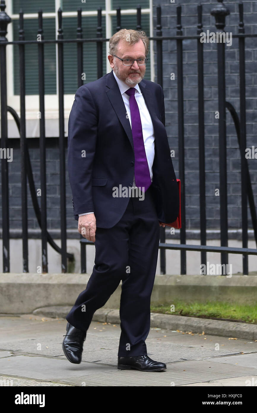 A Downing Street, Londra, Regno Unito. 29 Mar, 2017. David Mundell il Segretario di Stato per la Scozia lascia dopo il settimanale riunione del gabinetto al numero 10 di Downing street il giorno in cui il primo ministro sarà sarà ufficialmente notificare l'UE della Gran Bretagna ha intenzione di lasciare e farà una dichiarazione alla House of Commons il seguente PMQs su Brexit. Credito: Dinendra Haria/Alamy Live News Foto Stock