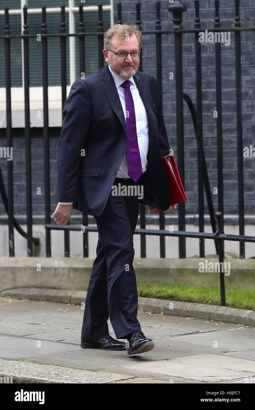 A Downing Street, Londra, Regno Unito. 29 Mar, 2017. David Mundell il Segretario di Stato per la Scozia lascia dopo il settimanale riunione del gabinetto al numero 10 di Downing street il giorno in cui il primo ministro sarà sarà ufficialmente notificare l'UE della Gran Bretagna ha intenzione di lasciare e farà una dichiarazione alla House of Commons il seguente PMQs su Brexit. Credito: Dinendra Haria/Alamy Live News Foto Stock