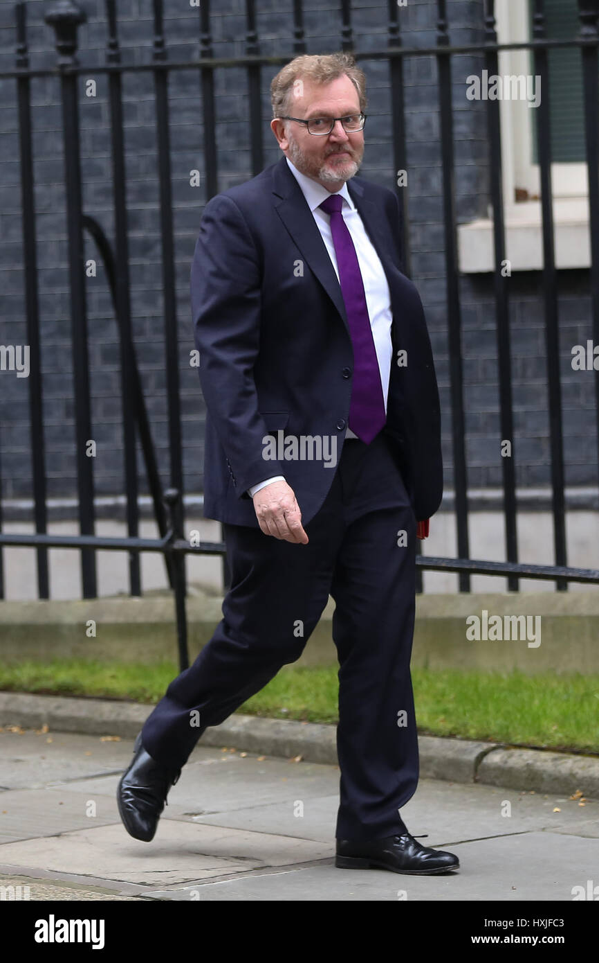 A Downing Street, Londra, Regno Unito. 29 Mar, 2017. David Mundell il Segretario di Stato per la Scozia lascia dopo il settimanale riunione del gabinetto al numero 10 di Downing street il giorno in cui il primo ministro sarà sarà ufficialmente notificare l'UE della Gran Bretagna ha intenzione di lasciare e farà una dichiarazione alla House of Commons il seguente PMQs su Brexit. Credito: Dinendra Haria/Alamy Live News Foto Stock