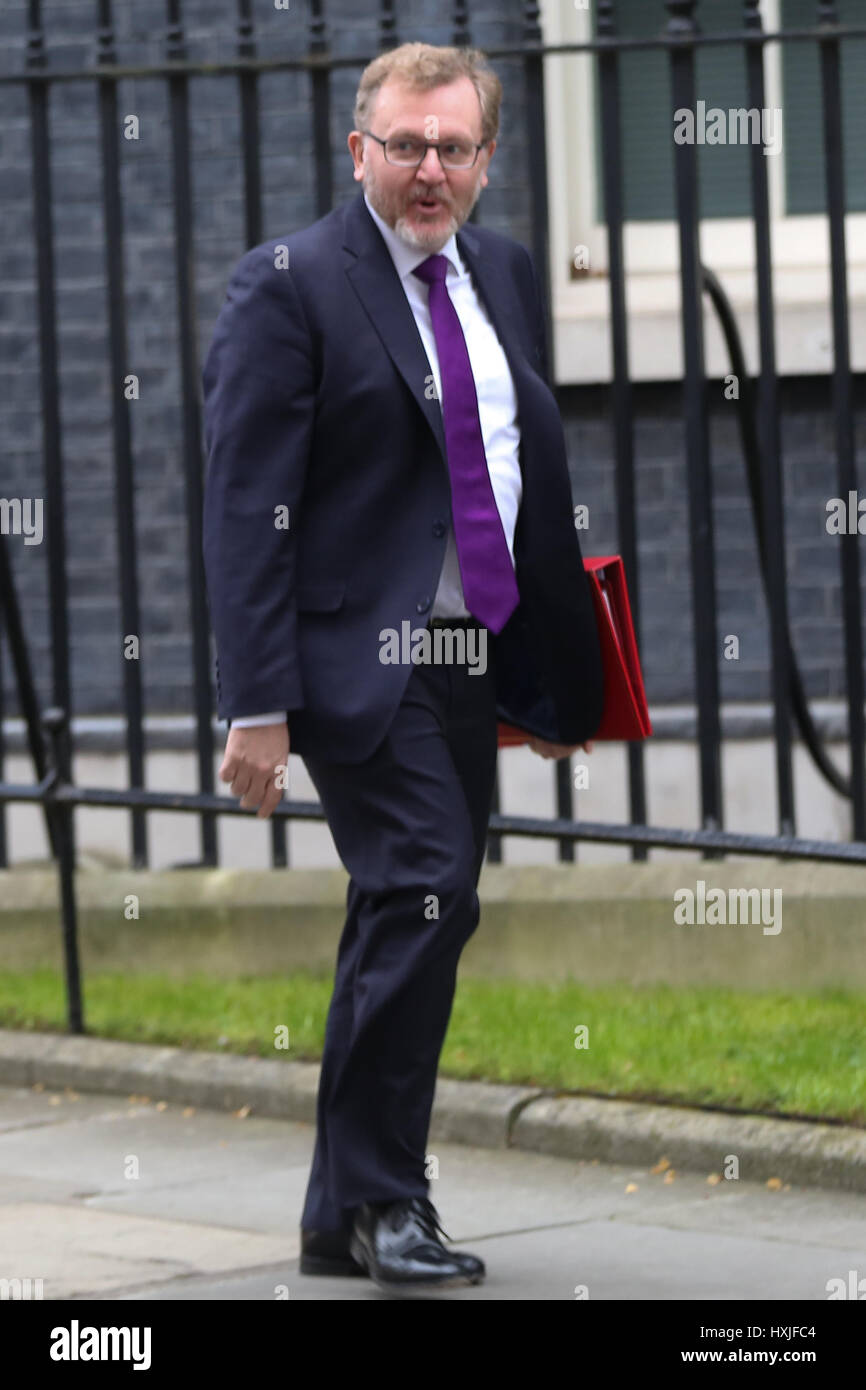 A Downing Street, Londra, Regno Unito. 29 Mar, 2017. David Mundell il Segretario di Stato per la Scozia lascia dopo il settimanale riunione del gabinetto al numero 10 di Downing street il giorno in cui il primo ministro sarà sarà ufficialmente notificare l'UE della Gran Bretagna ha intenzione di lasciare e farà una dichiarazione alla House of Commons il seguente PMQs su Brexit. Credito: Dinendra Haria/Alamy Live News Foto Stock