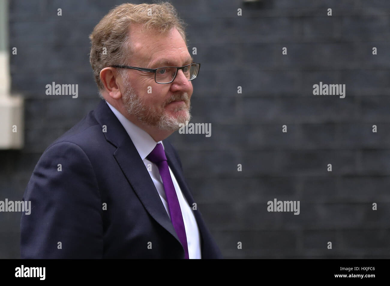 A Downing Street, Londra, Regno Unito. 29 Mar, 2017. David Mundell il Segretario di Stato per la Scozia lascia dopo il settimanale riunione del gabinetto al numero 10 di Downing street il giorno in cui il primo ministro sarà sarà ufficialmente notificare l'UE della Gran Bretagna ha intenzione di lasciare e farà una dichiarazione alla House of Commons il seguente PMQs su Brexit. Credito: Dinendra Haria/Alamy Live News Foto Stock