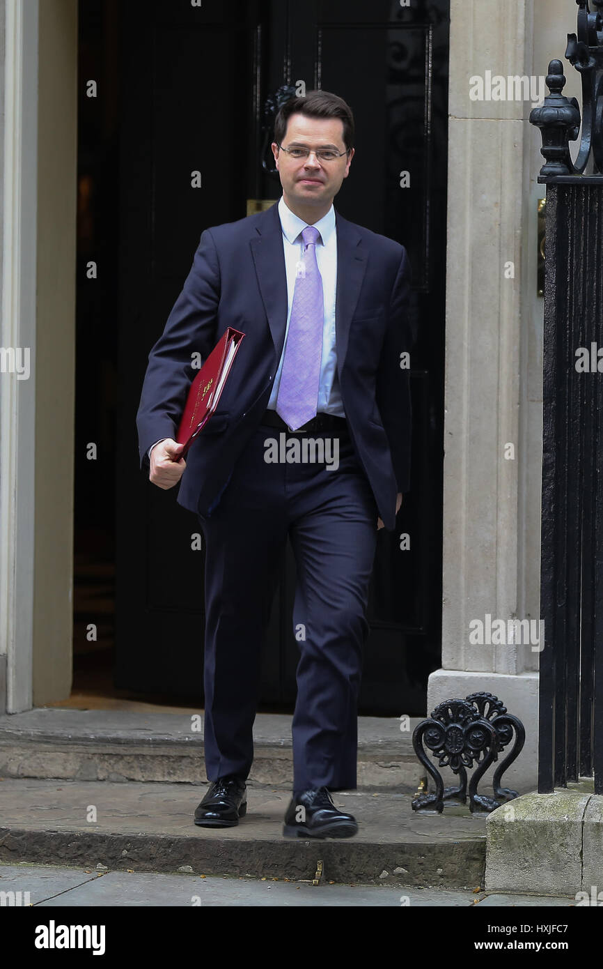 A Downing Street, Londra, Regno Unito. 29 Mar, 2017. James Brokenshire Segretario di Stato per l'Irlanda del Nord lascia dopo il settimanale riunione del gabinetto al numero 10 di Downing street il giorno in cui il primo ministro sarà sarà ufficialmente notificare l'UE della Gran Bretagna ha intenzione di lasciare e farà una dichiarazione alla House of Commons il seguente PMQs su Brexit. Credito: Dinendra Haria/Alamy Live News Foto Stock
