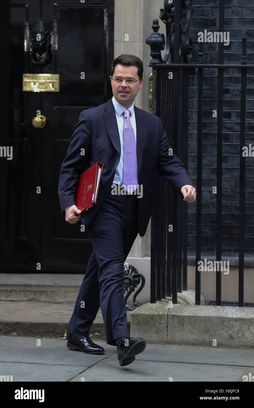 A Downing Street, Londra, Regno Unito. 29 Mar, 2017. James Brokenshire Segretario di Stato per l'Irlanda del Nord lascia dopo il settimanale riunione del gabinetto al numero 10 di Downing street il giorno in cui il primo ministro sarà sarà ufficialmente notificare l'UE della Gran Bretagna ha intenzione di lasciare e farà una dichiarazione alla House of Commons il seguente PMQs su Brexit. Credito: Dinendra Haria/Alamy Live News Foto Stock