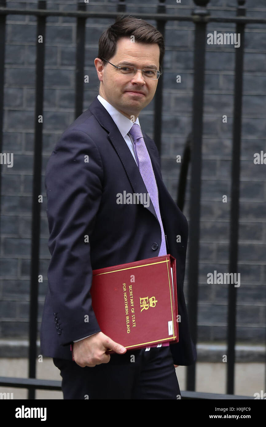 A Downing Street, Londra, Regno Unito. 29 Mar, 2017. James Brokenshire Segretario di Stato per l'Irlanda del Nord lascia dopo il settimanale riunione del gabinetto al numero 10 di Downing street il giorno in cui il primo ministro sarà sarà ufficialmente notificare l'UE della Gran Bretagna ha intenzione di lasciare e farà una dichiarazione alla House of Commons il seguente PMQs su Brexit. Credito: Dinendra Haria/Alamy Live News Foto Stock