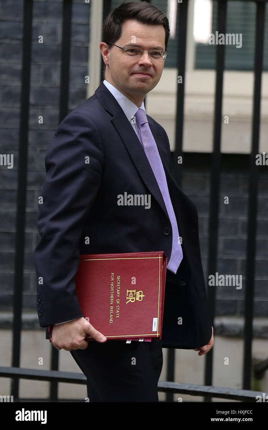 A Downing Street, Londra, Regno Unito. 29 Mar, 2017. James Brokenshire Segretario di Stato per l'Irlanda del Nord lascia dopo il settimanale riunione del gabinetto al numero 10 di Downing street il giorno in cui il primo ministro sarà sarà ufficialmente notificare l'UE della Gran Bretagna ha intenzione di lasciare e farà una dichiarazione alla House of Commons il seguente PMQs su Brexit. Credito: Dinendra Haria/Alamy Live News Foto Stock