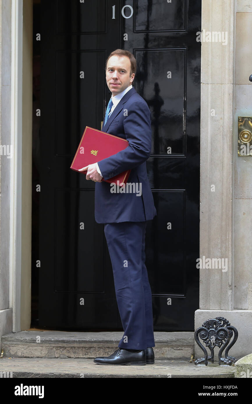 A Downing Street, Londra, Regno Unito. 29 Mar, 2017. Gavin conservatore di Williamson Chief Whip lascia dopo il settimanale riunione del gabinetto al numero 10 di Downing street il giorno in cui il primo ministro sarà sarà ufficialmente notificare l'UE della Gran Bretagna ha intenzione di lasciare e farà una dichiarazione alla House of Commons il seguente PMQs su Brexit. Credito: Dinendra Haria/Alamy Live News Foto Stock