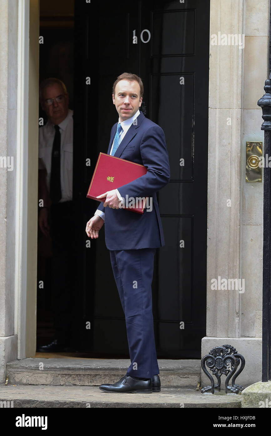 A Downing Street, Londra, Regno Unito. 29 Mar, 2017. Gavin conservatore di Williamson Chief Whip lascia dopo il settimanale riunione del gabinetto al numero 10 di Downing street il giorno in cui il primo ministro sarà sarà ufficialmente notificare l'UE della Gran Bretagna ha intenzione di lasciare e farà una dichiarazione alla House of Commons il seguente PMQs su Brexit. Credito: Dinendra Haria/Alamy Live News Foto Stock