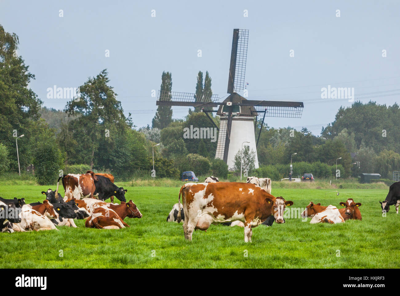I Paesi Bassi centrali, provincia di Utrecht, Kooiwijkse Molen, mulino a vento a Wijk bij Duurstede Foto Stock