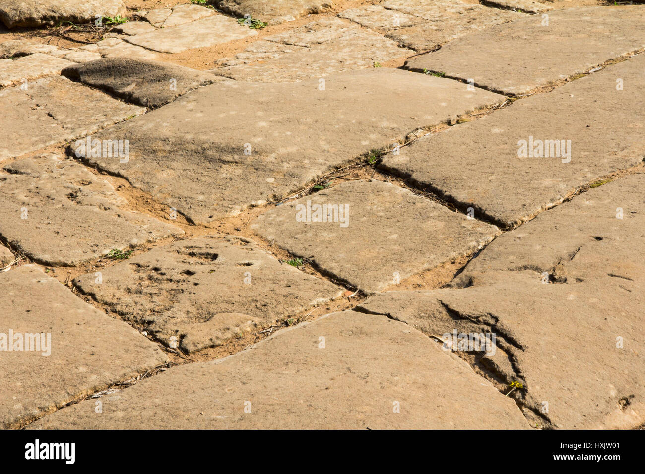 Roman pietre per pavimentazione del I secolo a.c. sono sopravvissute le età -- e assalti da berberi, Vandali e Byzatines per essere visto oggi a Tipaza/Tipasa Foto Stock