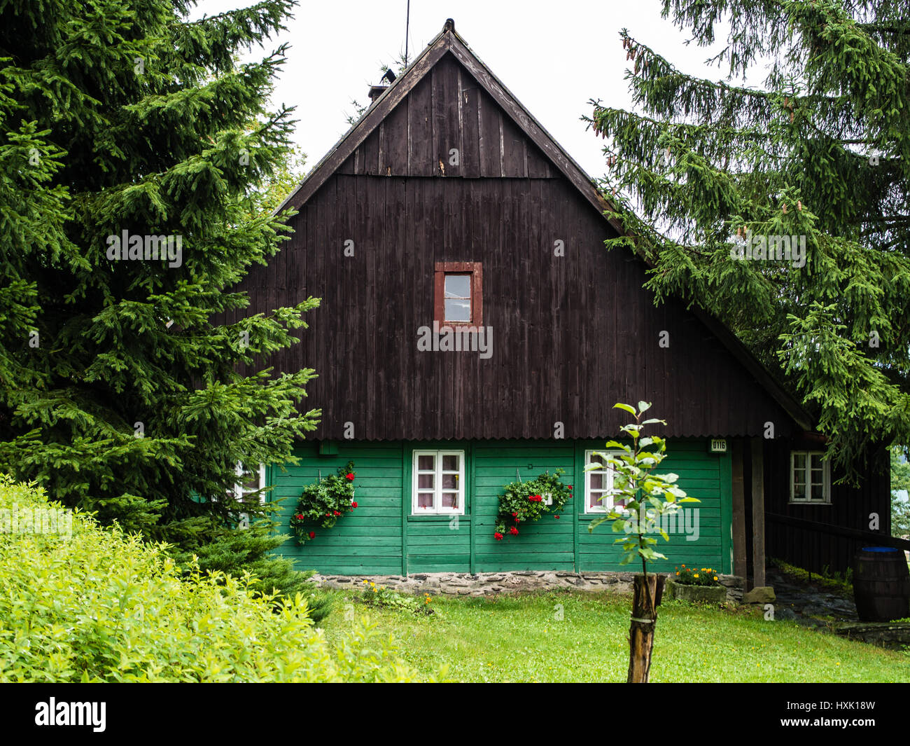 Chalet di montagna tradizionale, o capanna di legno circondato da abeti, verniciato di verde e marrone con prato davanti, vacanza rilassante, Foto Stock