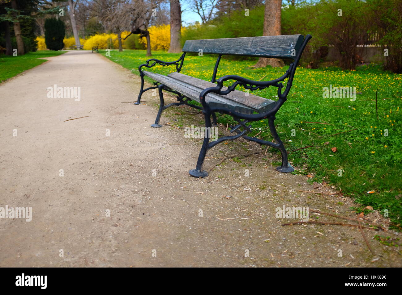 Svuotare una panchina nel parco di primavera a Vienna, Austria Foto Stock