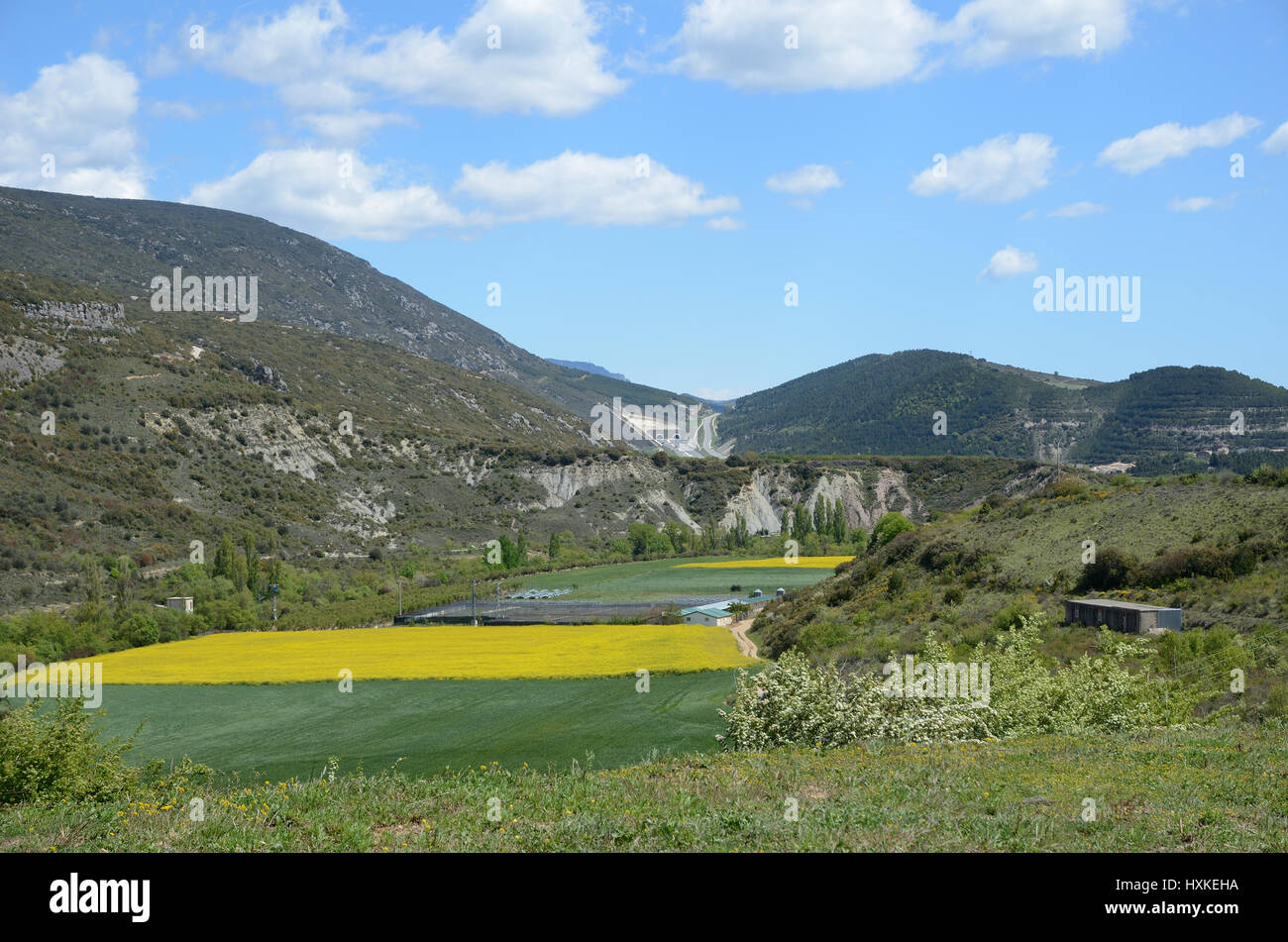 Una stretta banda di campi agricoli è coltivato tra le zone di montagna e di collina ricoperta di vegetazione lussureggiante nella regione spagnola Navarra. Foto Stock
