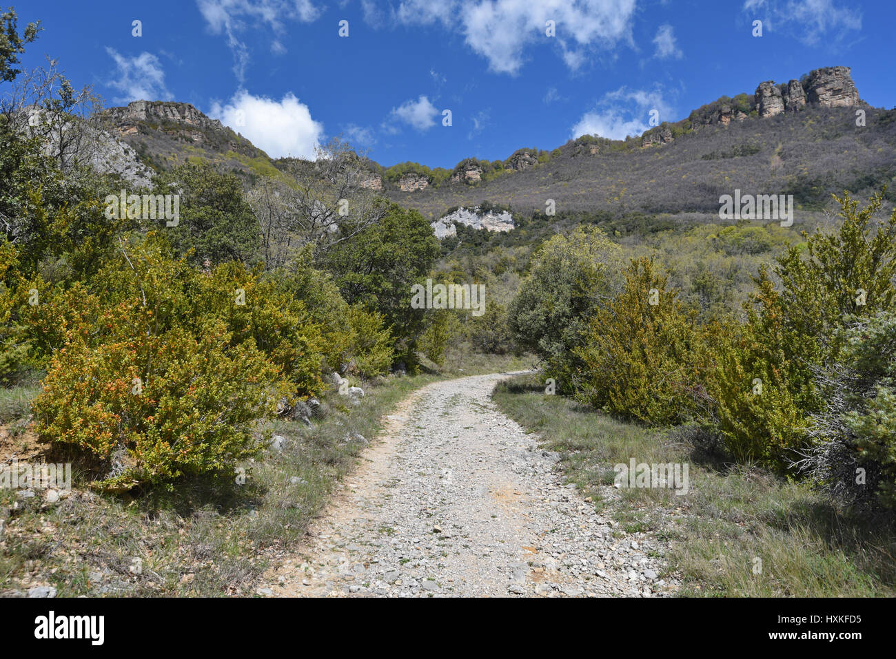 Il Rocky pass è lungo il pendio al di sopra del monastero di San Salvador di Leyre. Foto Stock
