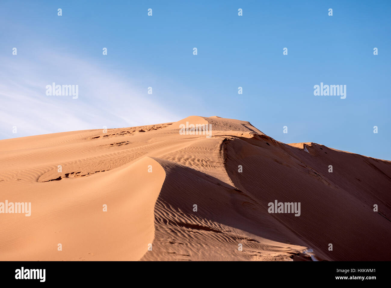Le dune di sabbia del deserto dei Gobi Meridionale della Mongolia. Foto Stock