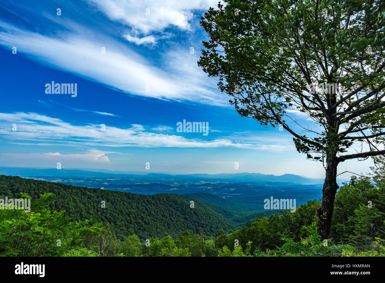 La Blue Ridge Parkway offre paesaggi di montagna mentre viaggia thropught monti Appalachi. Foto Stock