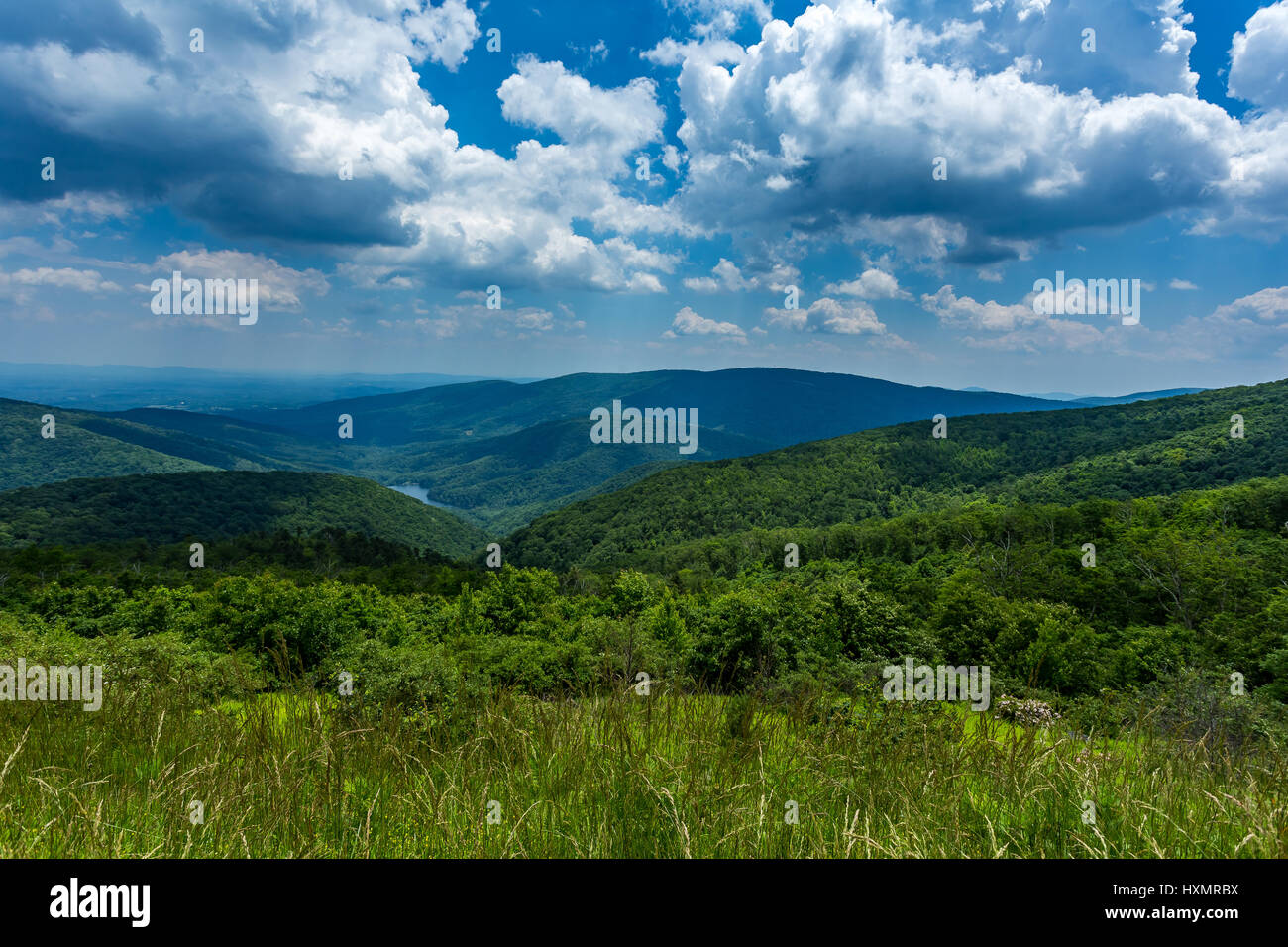 La pioggia cade nella distanza oltre le montagne Appalchian a Shenandoah National Park. Foto Stock