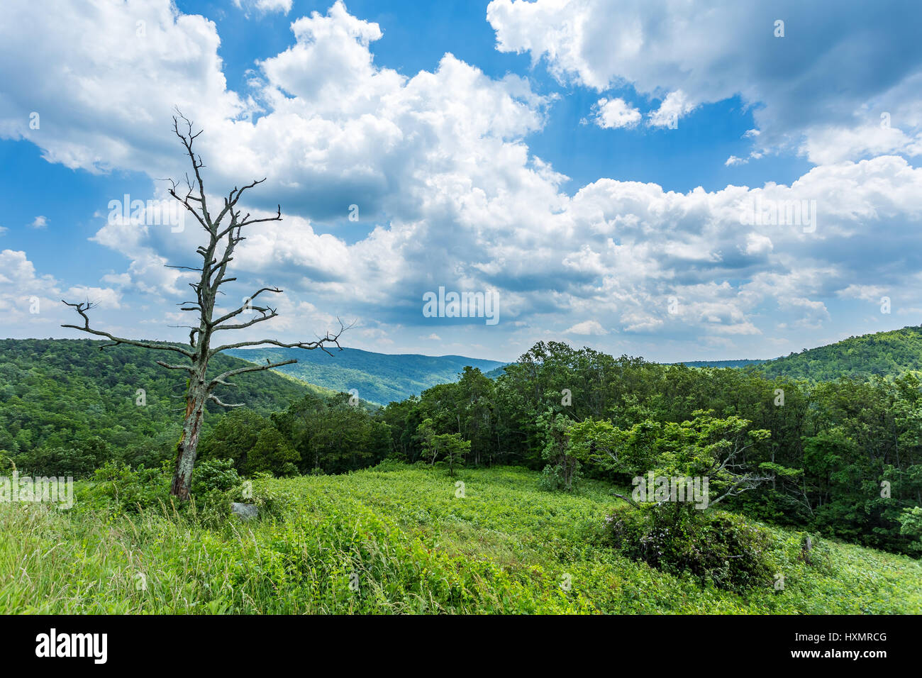 La pioggia cade nella distanza oltre le montagne Appalchian a Shenandoah National Park. Foto Stock