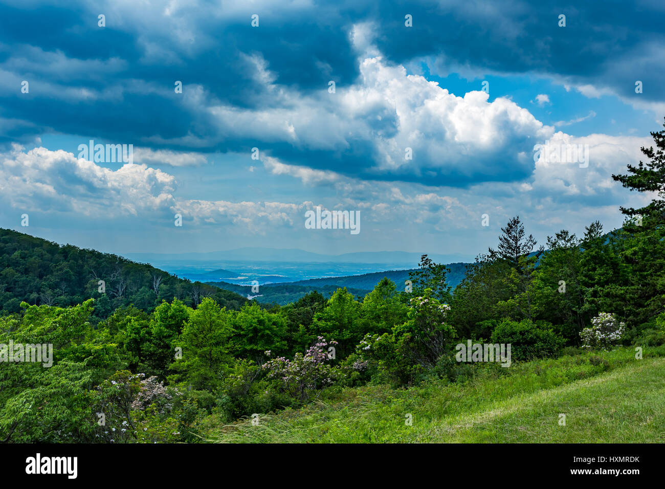 La pioggia cade nella distanza oltre le montagne Appalchian a Shenandoah National Park. Foto Stock