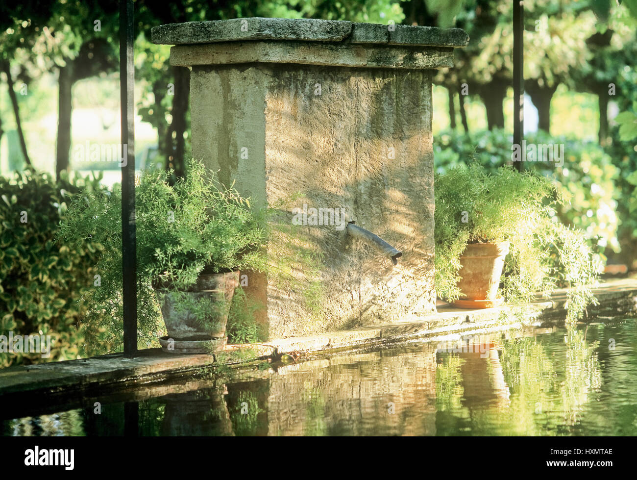 Tubo flessibile da una piscina. Foto Stock
