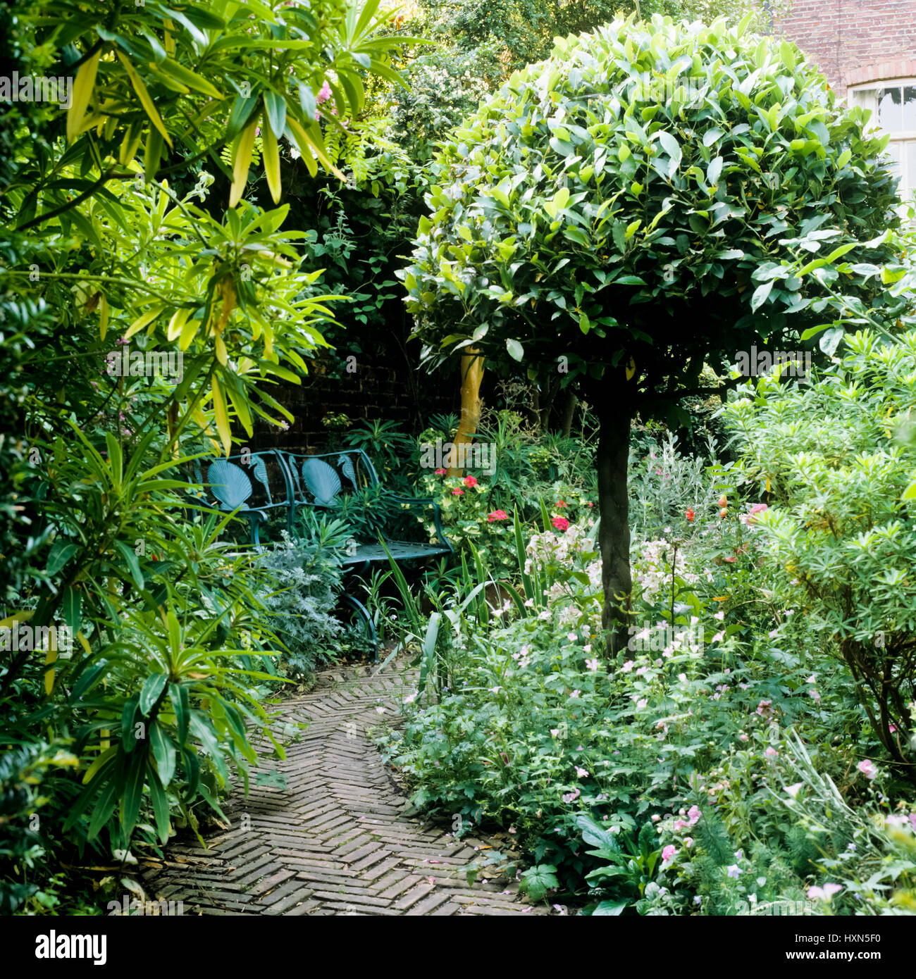 Giardino con percorso di banco. Foto Stock
