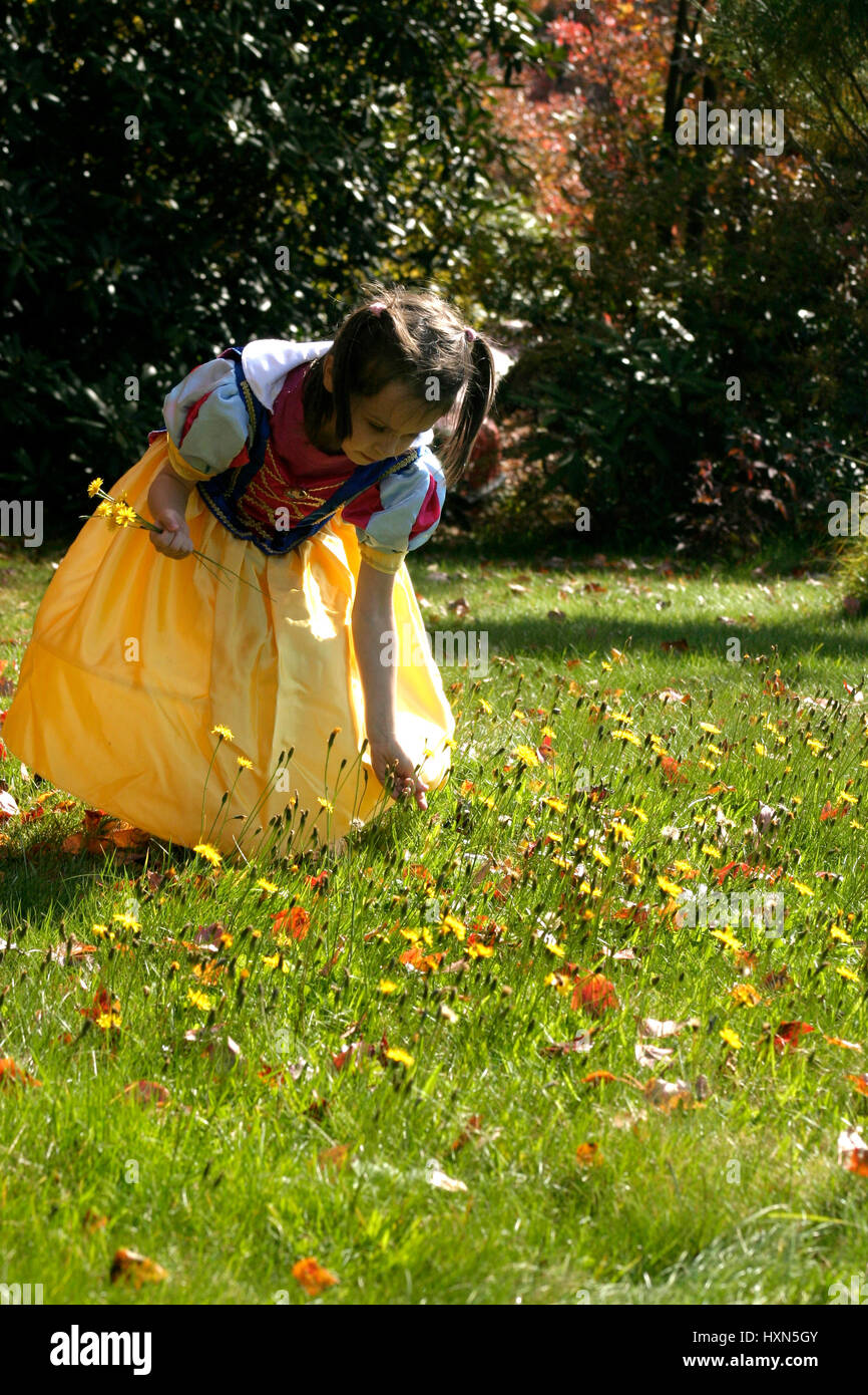 Bambina vestito come Snow White carattere, la raccolta dei fiori dal cantiere in una bella giornata d'autunno Foto Stock