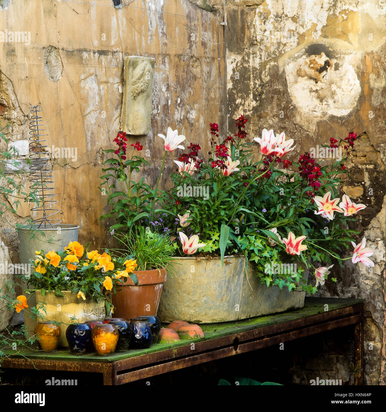 Fiori sul tavolo per esterno. Foto Stock