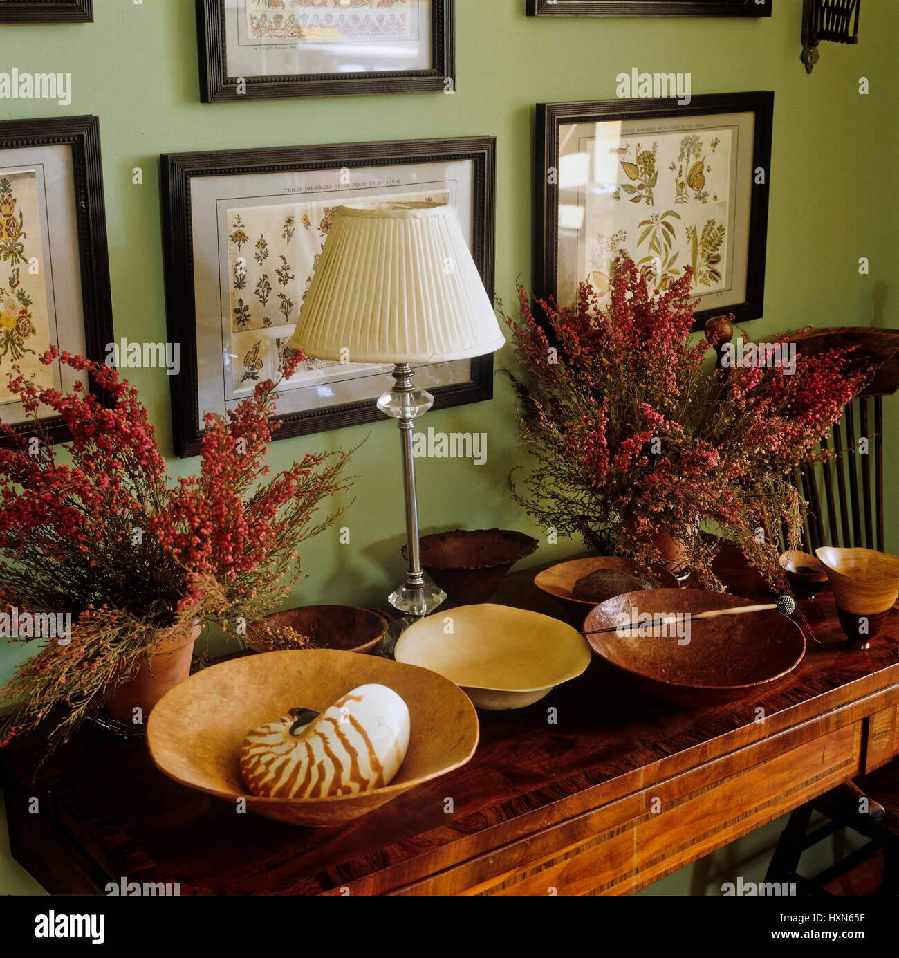 Vintage vasellame e piante sulla tabella. Foto Stock