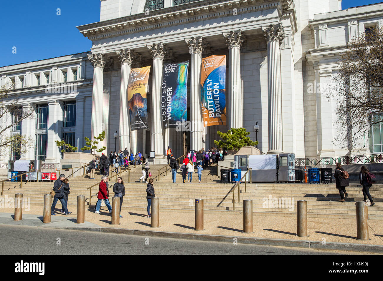 Turisti e visitatori di inserire il neo-classico Museo Nazionale di Storia Naturale nel National Mall di Washington DC. Foto Stock