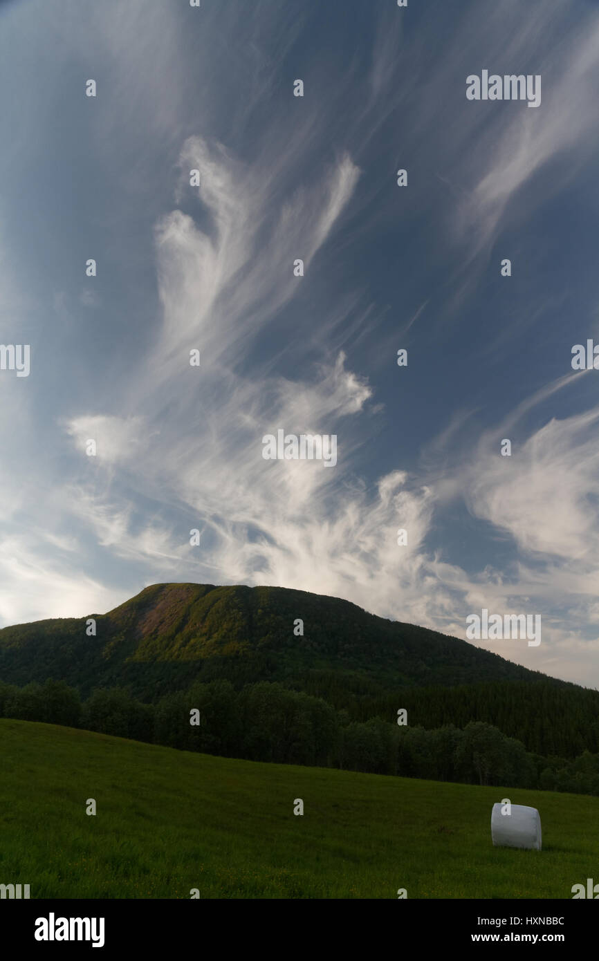 Nuvoloso paesaggio vicino Bodø, Norvegia Foto Stock