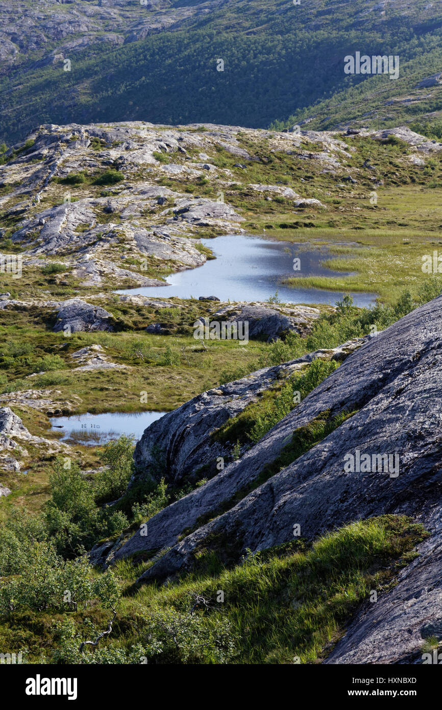 Sulle colline intorno a Bodø, Norvegia settentrionale Foto Stock