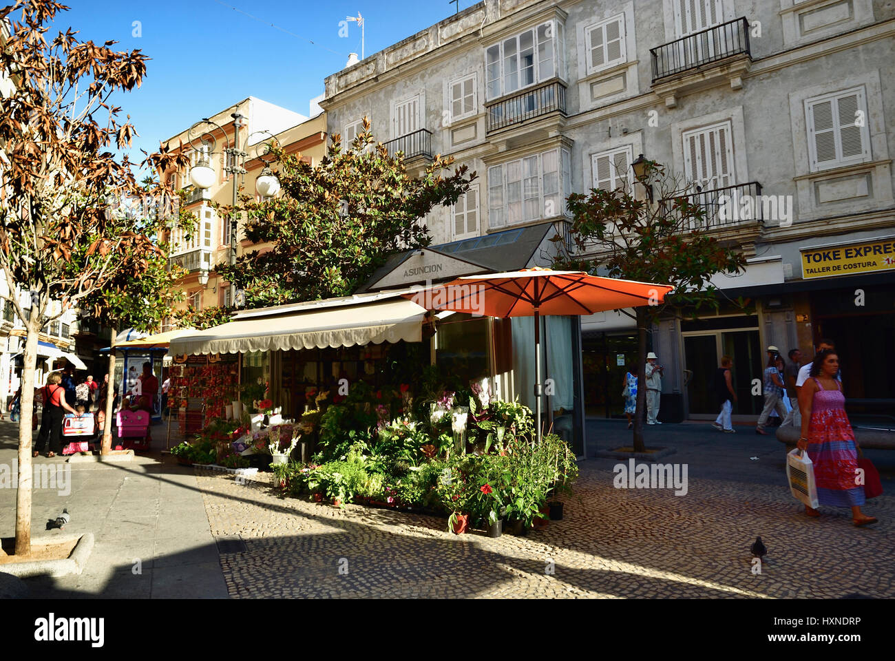 La Plaza de las Flores, Plaza Topete, è un popolare piazza caratterizzata dal fiore coloratissimo stand che occupano la zona centrale. Cádiz, Andalucía, Foto Stock