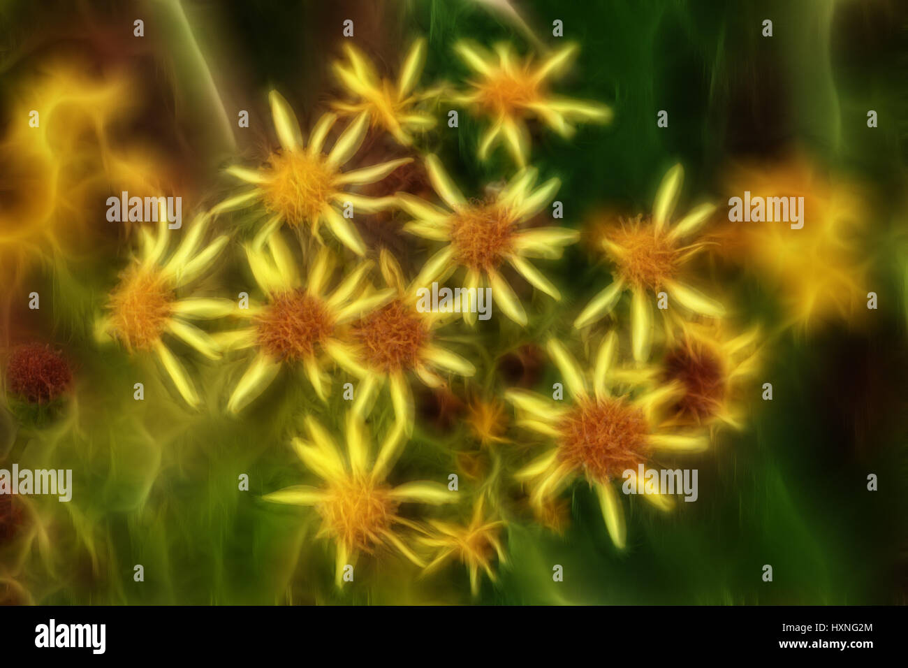 Un favoloso bouquet di fiori gialli in una vista dall'alto. Computer grafica. Lo sfondo è sfocato. L'insolita combinazione di colori. Foto Stock