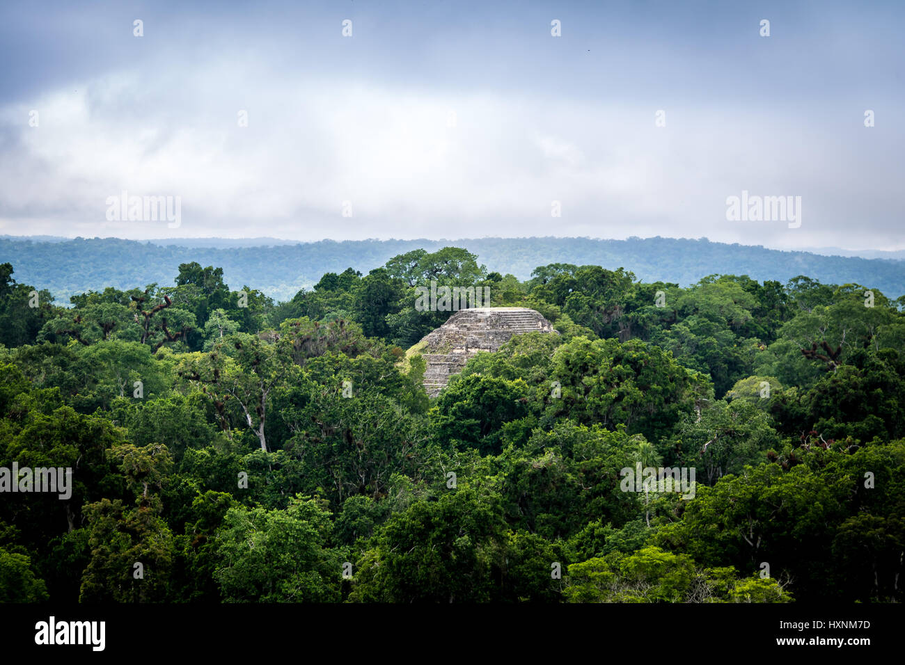 Parte superiore della piramide Maya al Parco Nazionale di Tikal - Guatemala Foto Stock