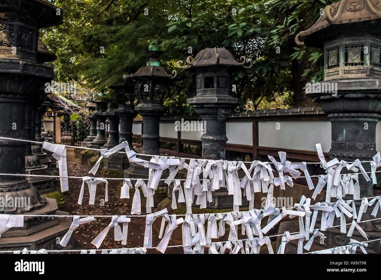 Lanterne di pietra - Tokyo, Giappone Foto Stock