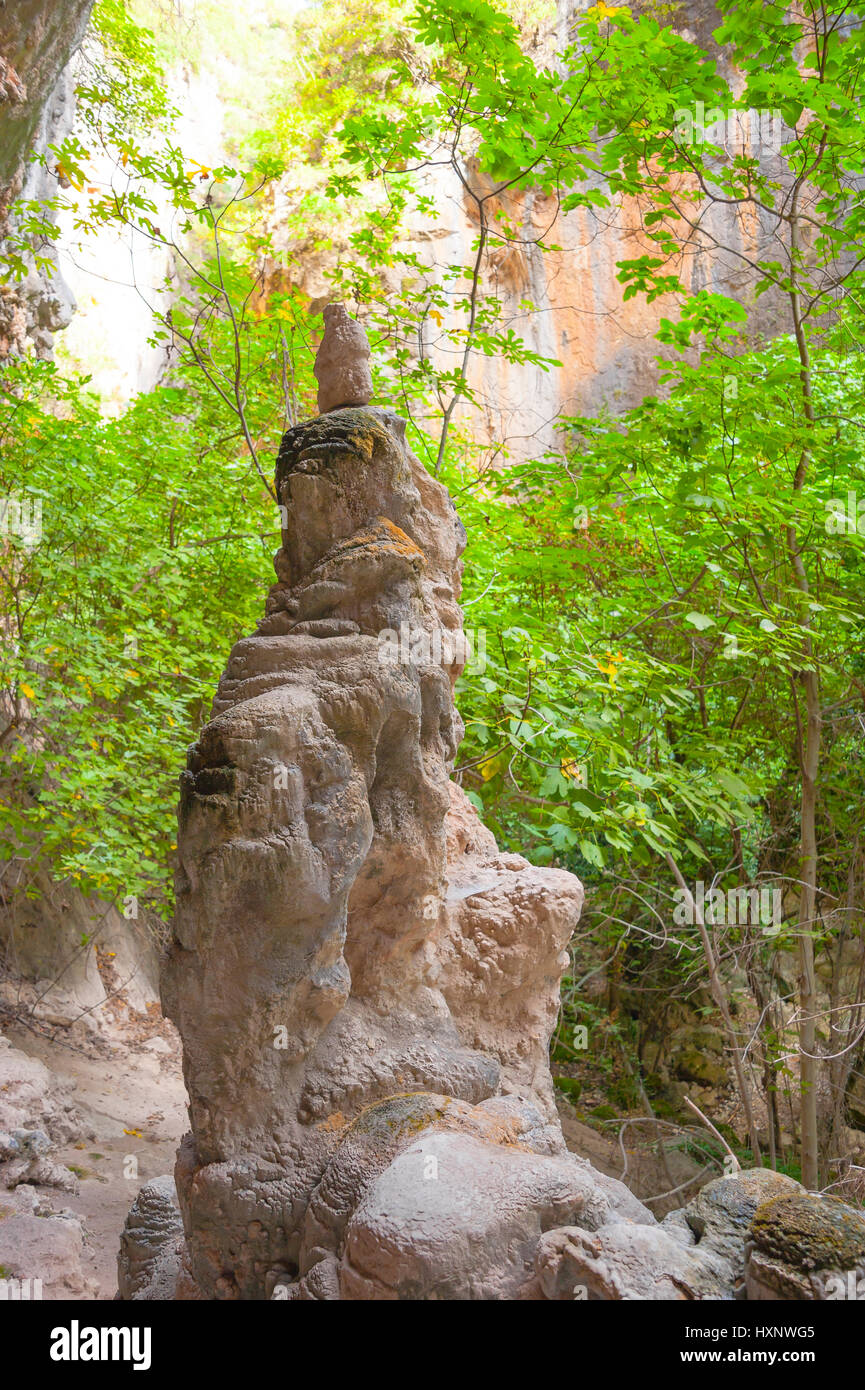 Grande stalagmite a fondo la Garganta Verde, luogo chiamato Ermita, Sierra de Grazalema Parco Naturale; Andalusia, Spagna Foto Stock