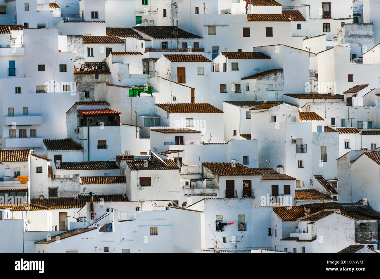 Case bianche del villaggio Casares, bianche città dell'Andalusia, Sierra Bermeja, provincia di Malaga, Spagna Foto Stock