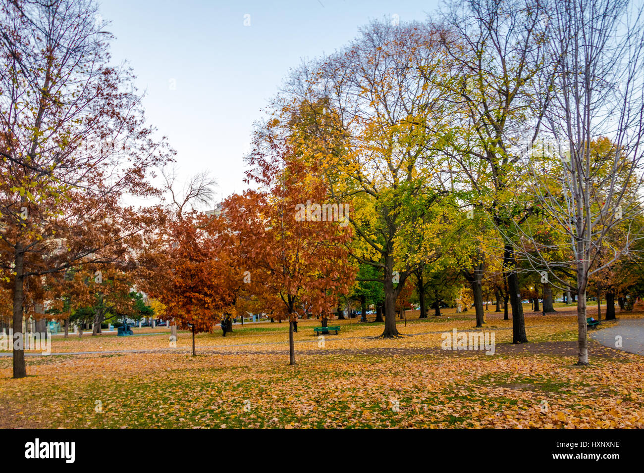 Autunno coloratissima vegetazione di Queens Park - Toronto, Ontario, Canada Foto Stock