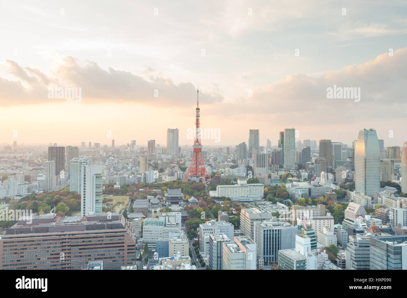 La Tokyo Tower e il Cielo di tramonto in serata a Tokyo Giappone Foto Stock