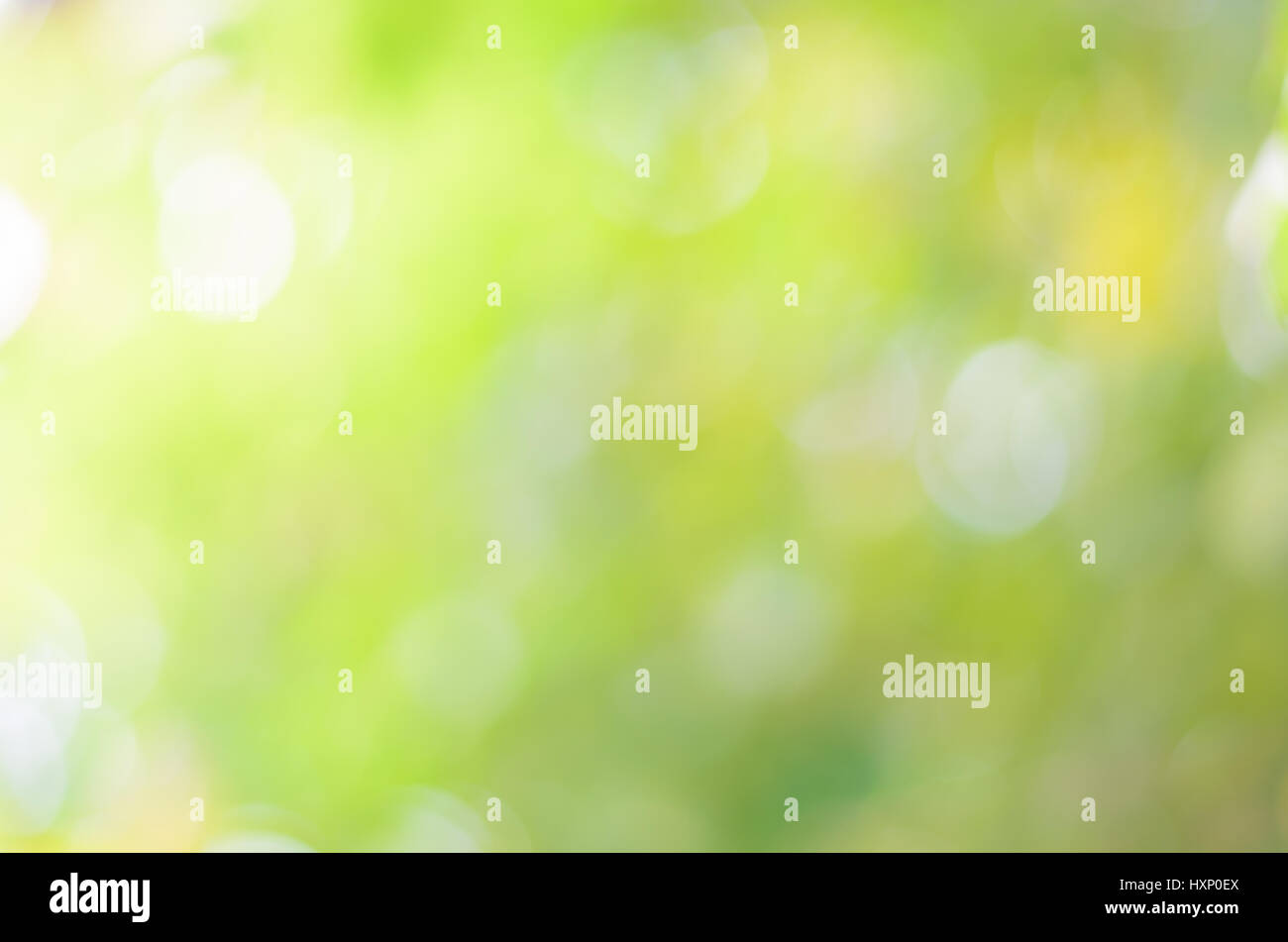 La sfocatura bokeh di fondo di natura verde Foto Stock