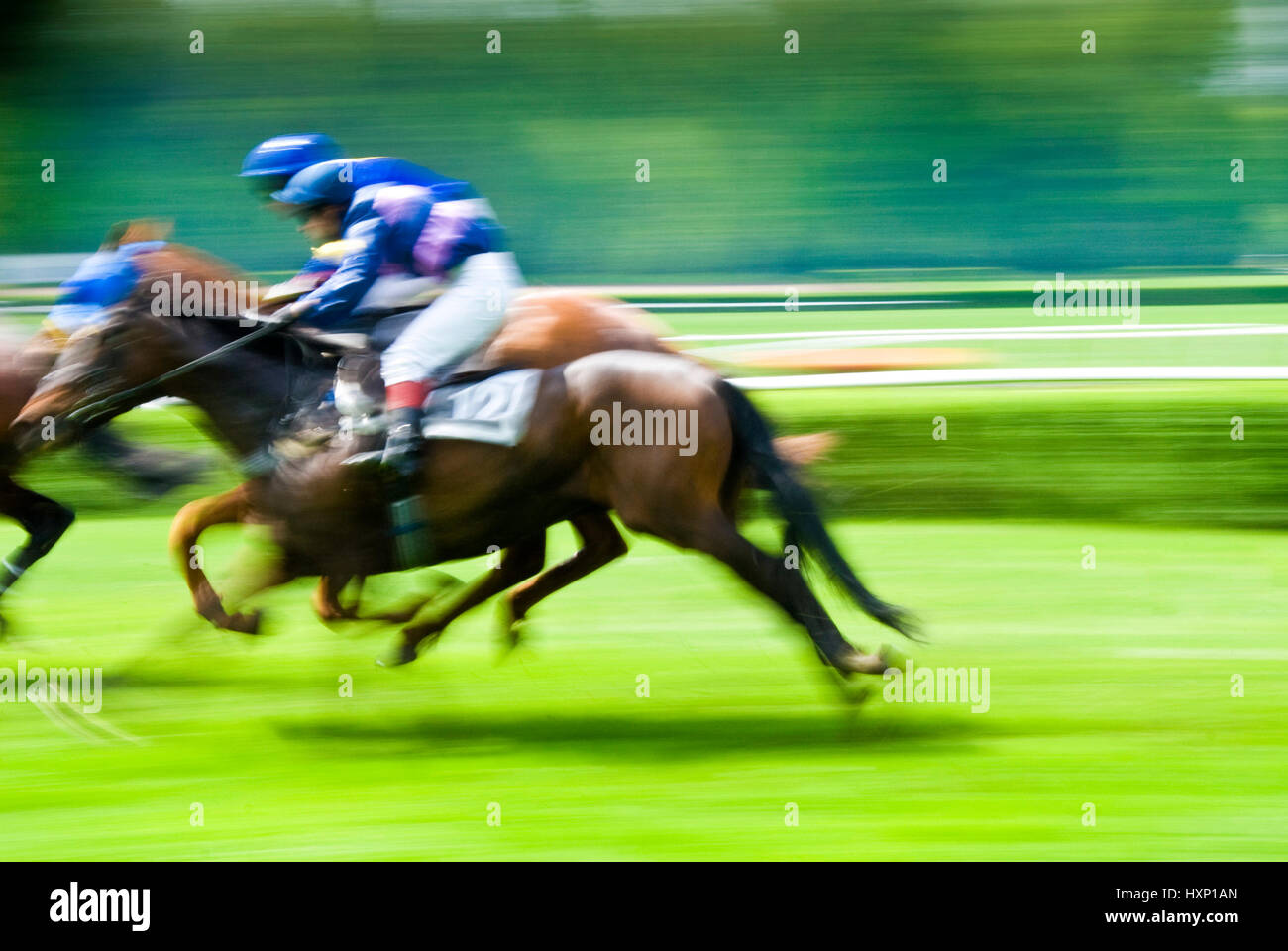 Sprint finale di un cavallo di razza Foto Stock