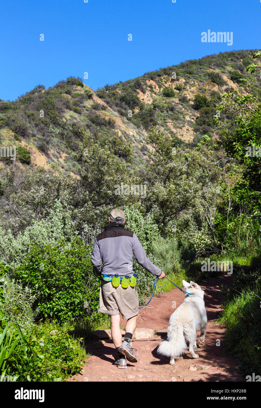 Escursionista e cane sul comodo sentiero Dell vicino a Ojai, California Foto Stock