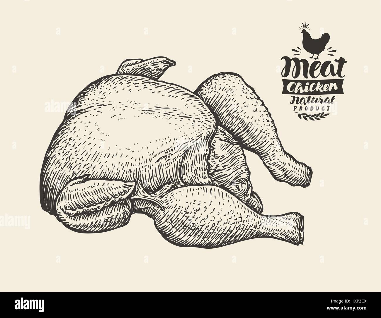 Disegnata a mano fresco carcassa di pollo, carne. Negozio di macellaio, cibo sketch. Vintage illustrazione vettoriale Illustrazione Vettoriale