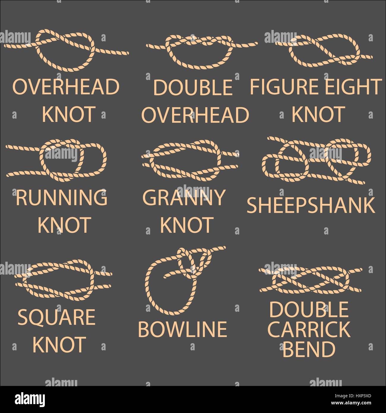 Lanyard Personalizzabili: Qualità e Design per il Tuo Brand