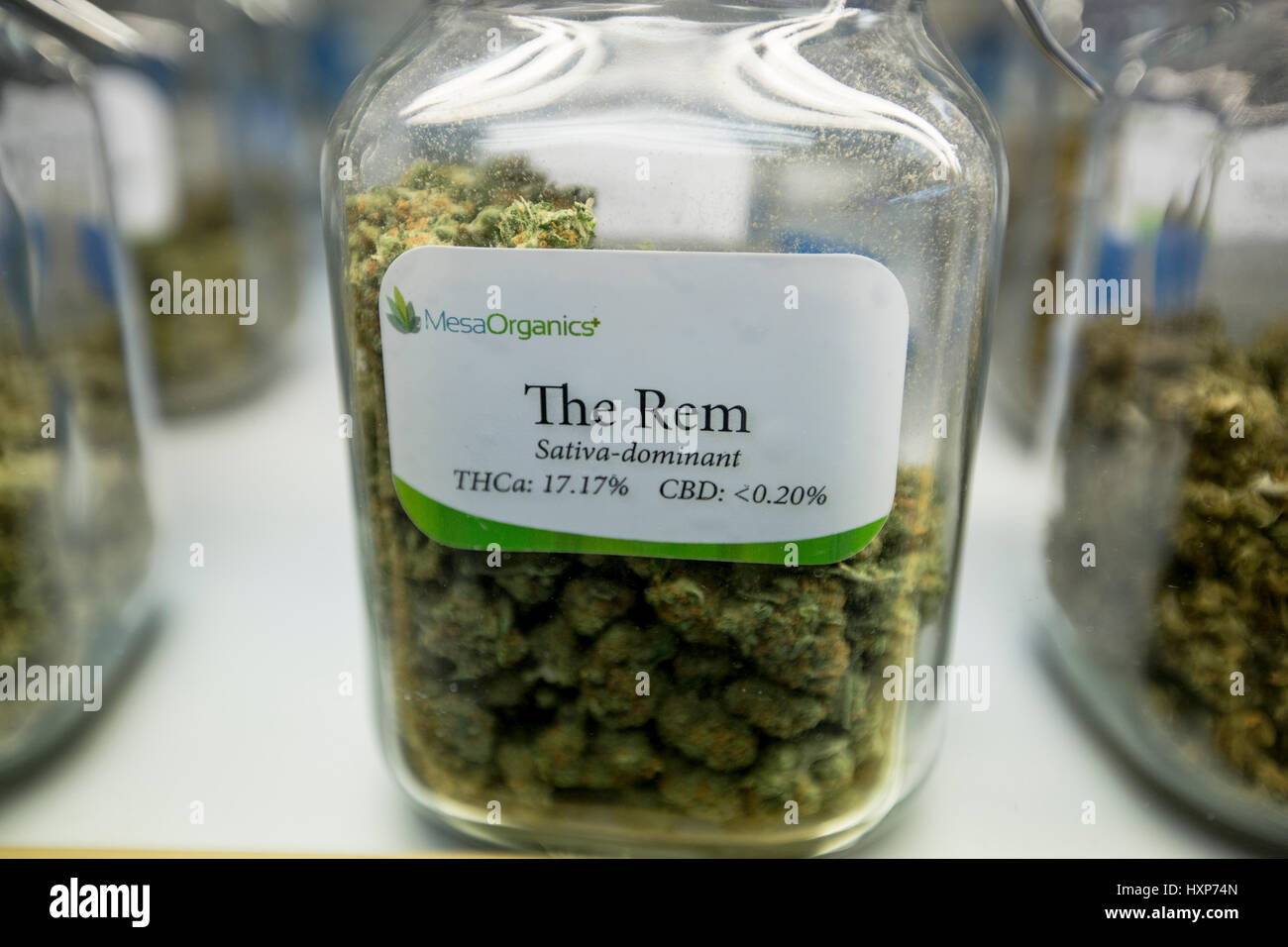 Vasi di vetro pieno di boccioli di marijuana sul display e per la vendita a un dispensario in Colorado Foto Stock