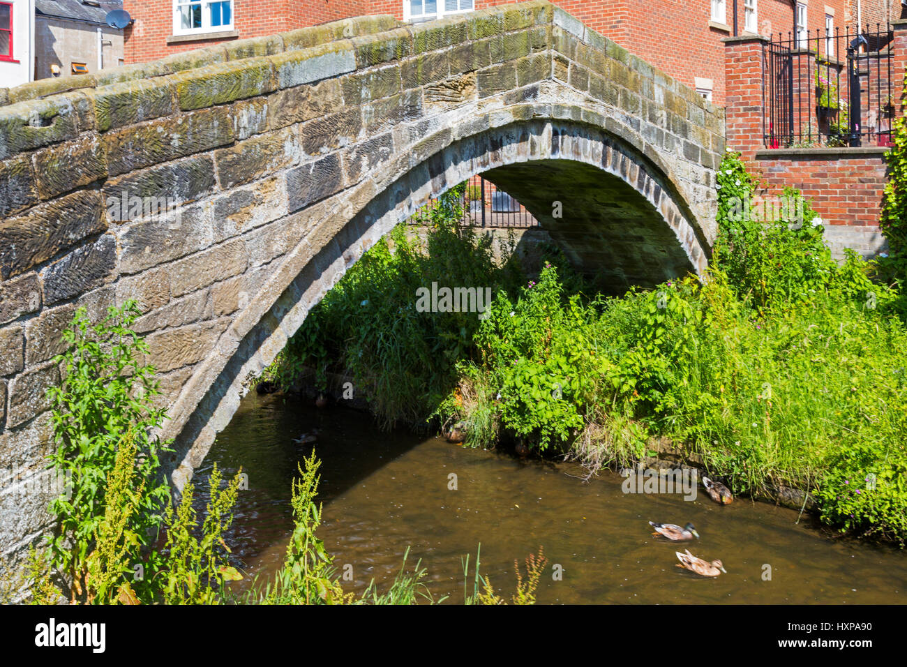 Antico Ponte Packhorse, fiume Leven, Stokesley, North Yorkshire, Inghilterra, Regno Unito Foto Stock